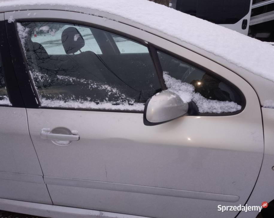 Drzwi Peugeot 307 ETSC małopolskie
