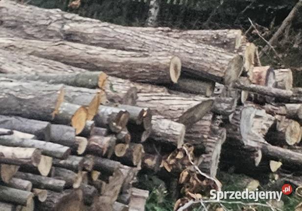 Drewno opałowe świętokrzyskie Zagnańsk