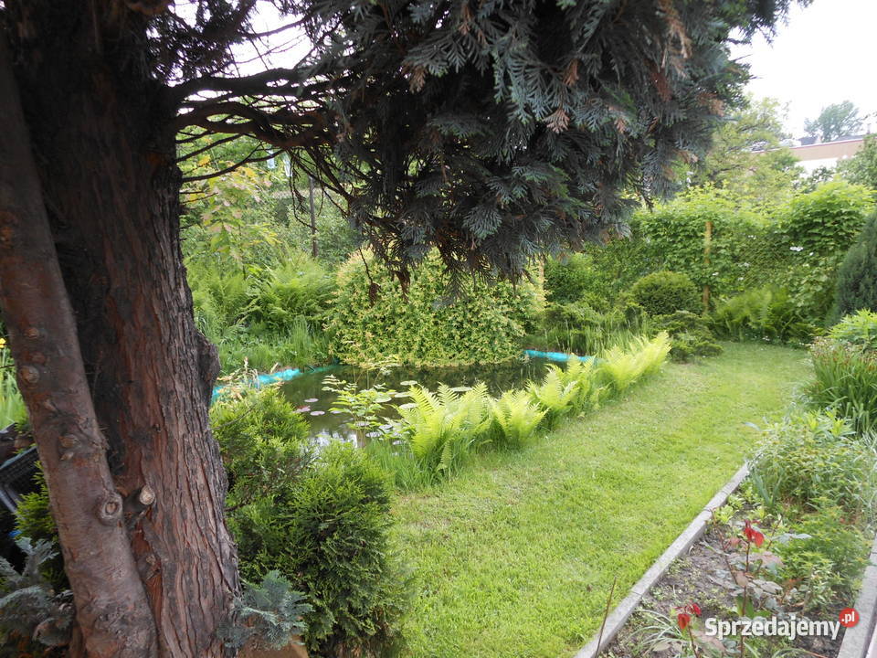 Ogródek działkowy Chorzów rekreacyjna