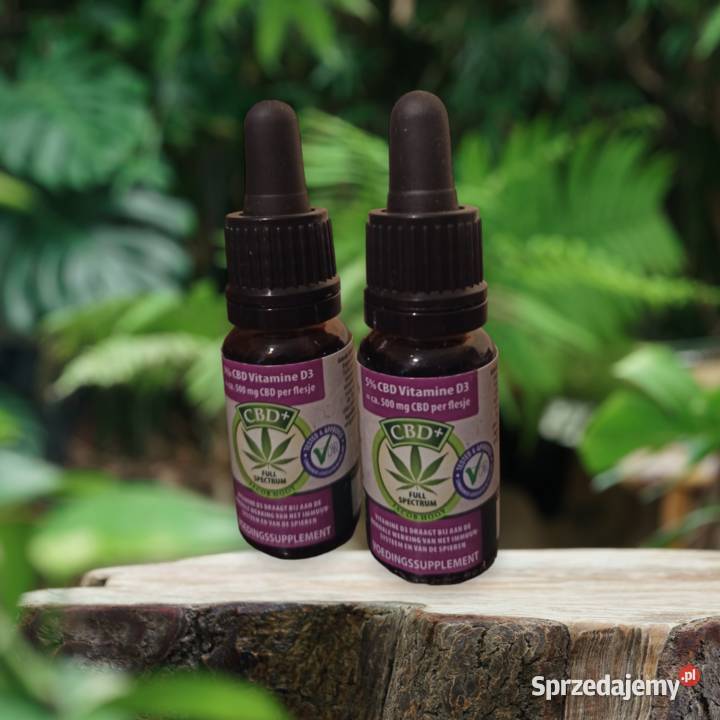 Jacob Hooy CBD Olej 5 Witamina D3 10ml Łódź