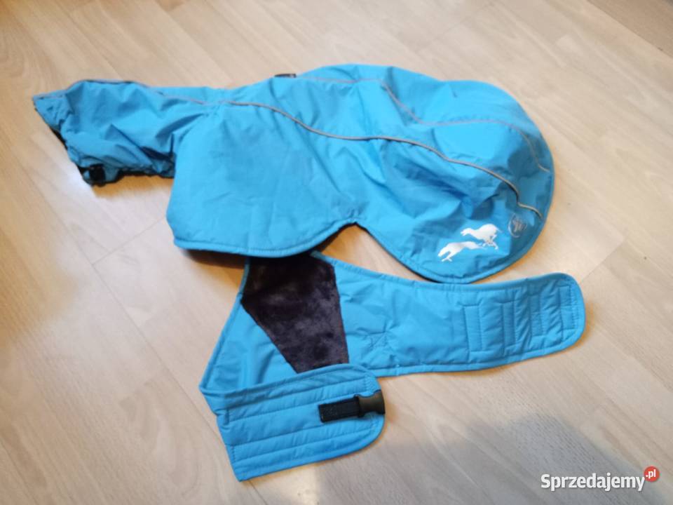 Ubranko psa dolnośląskie Bolesławiec