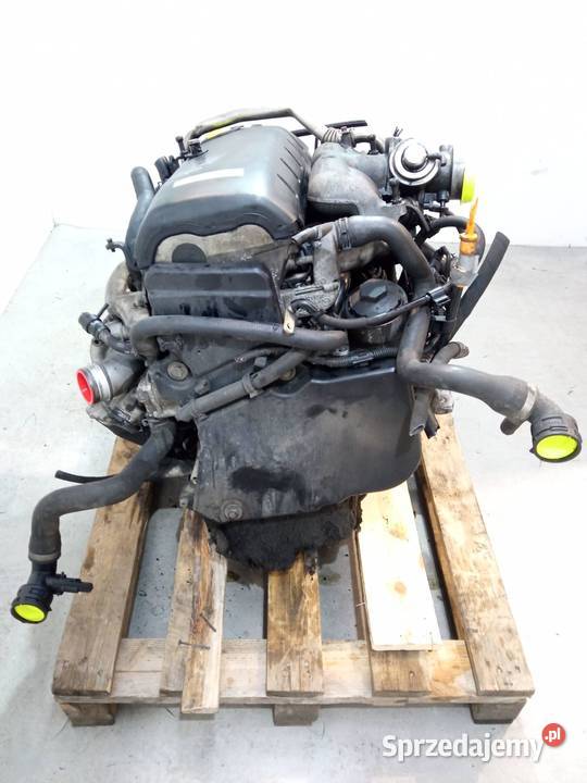 SILNIK KOMPLETNY DIESEL BAC 25 TDI VW Volkswagen Rok produkcji 2005 Silniki i osprzęt