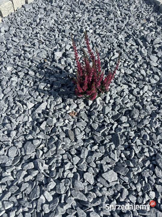 Kamień Crystal Graffito 16 NOWOŚĆ Słone