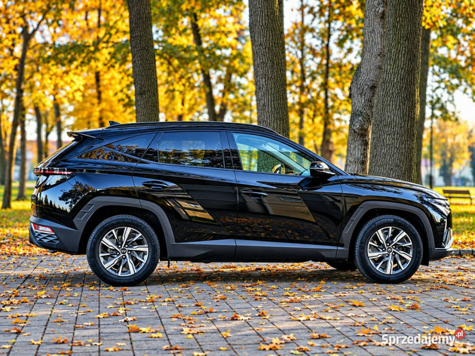 Hyundai Tucson IV 2020 Tucson