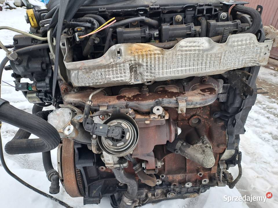 Citroen Peugeot 20 Blue HDi 150 silnik kompletny osobowe Jastrzębie-Zdrój