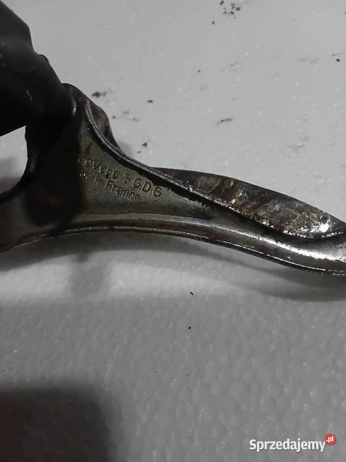 Simplex przeżuty przód