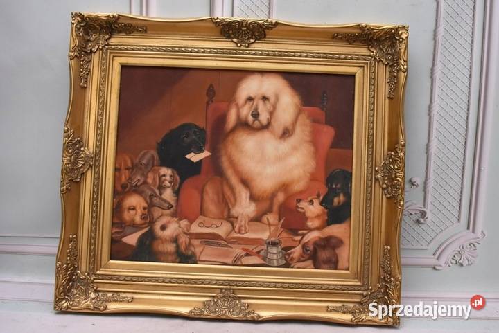 Śmieszne Psy Pies Pies Nauczyciel Złota Rama małopolskie Kraków