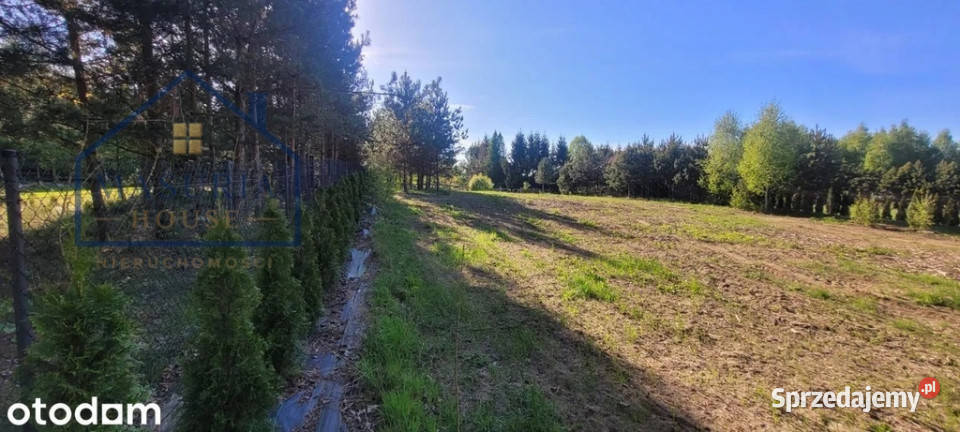 Działka rolnobudowlana z linią brzegową jeziora Lubian sprzedam
