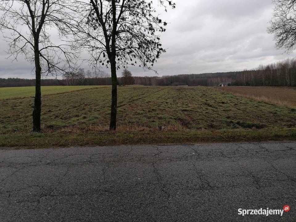 Działka budowlana 1600 mkw Koziołki