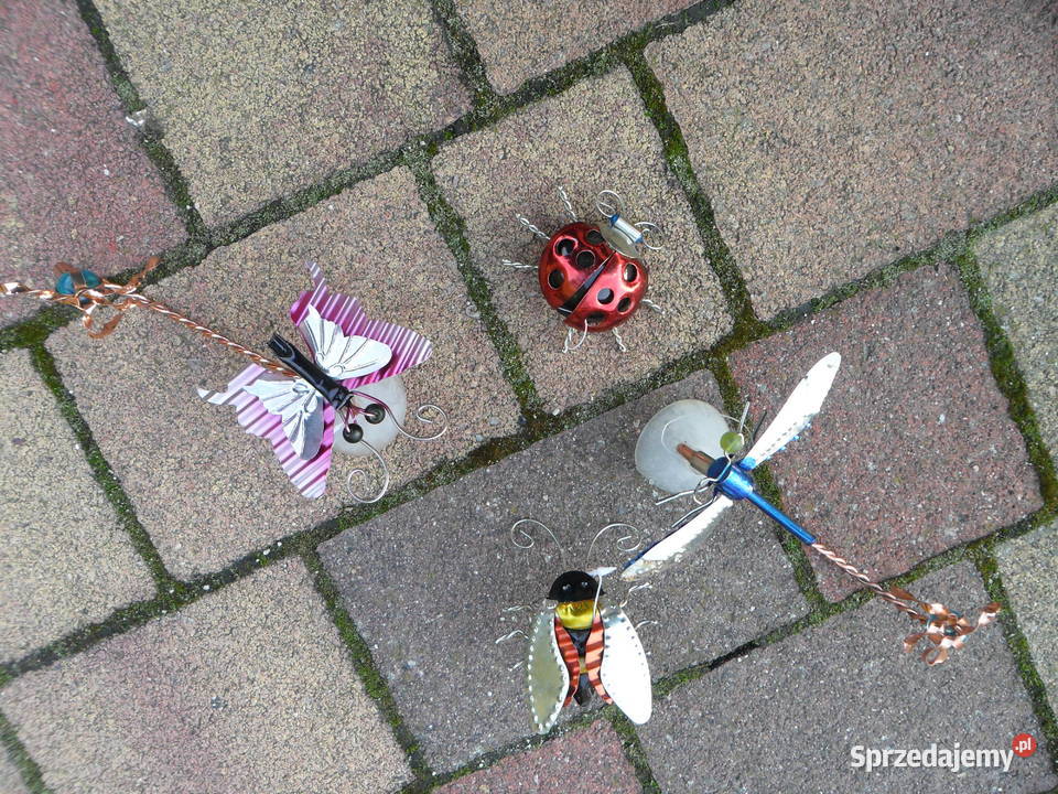 Metaloplastyka kwiaty owady motyle Świdnica sprzedam