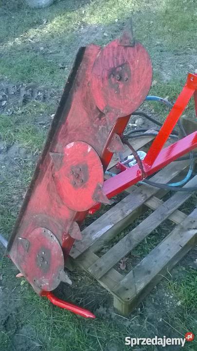 Podcinarka podkaszarka to porzeczek Urzędów sprzedam