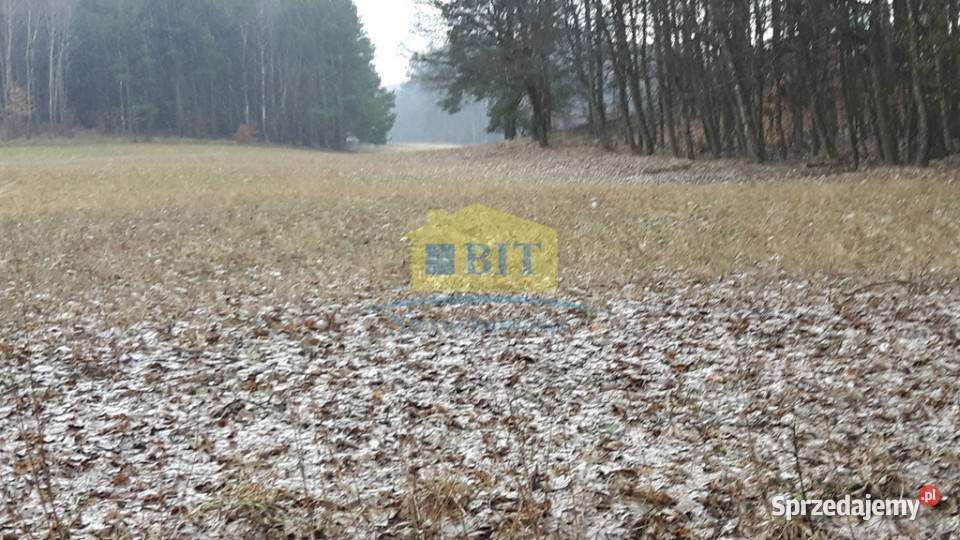 Działka rolna 342 ha ładne położenie Grunty i działki zachodniopomorskie Stare Gonne