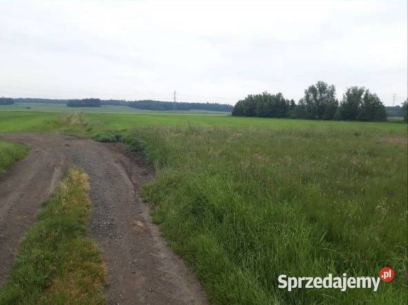 Działka budowlana RATY Chmielno sprzedam