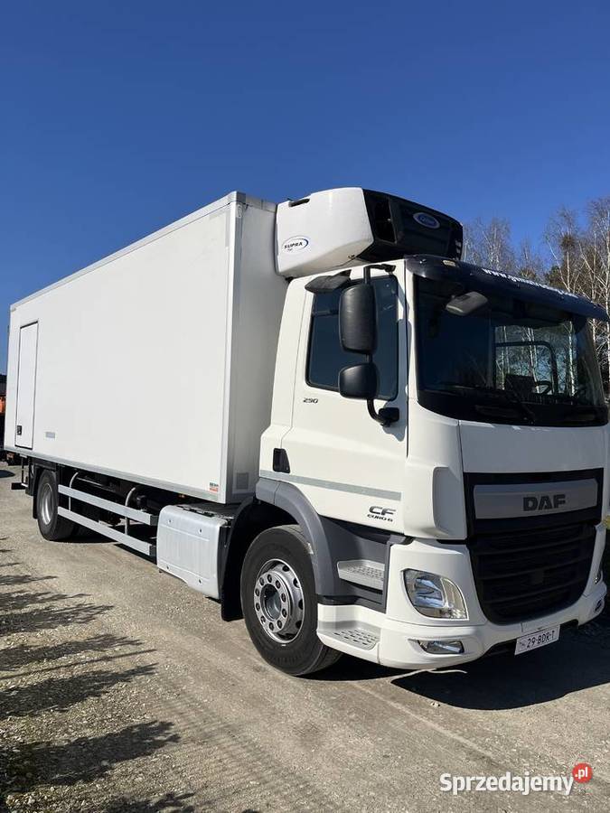 DAF CF 290 FA chłodnia Carrier Supra 750 winda Napęd tylna oś Sieradz