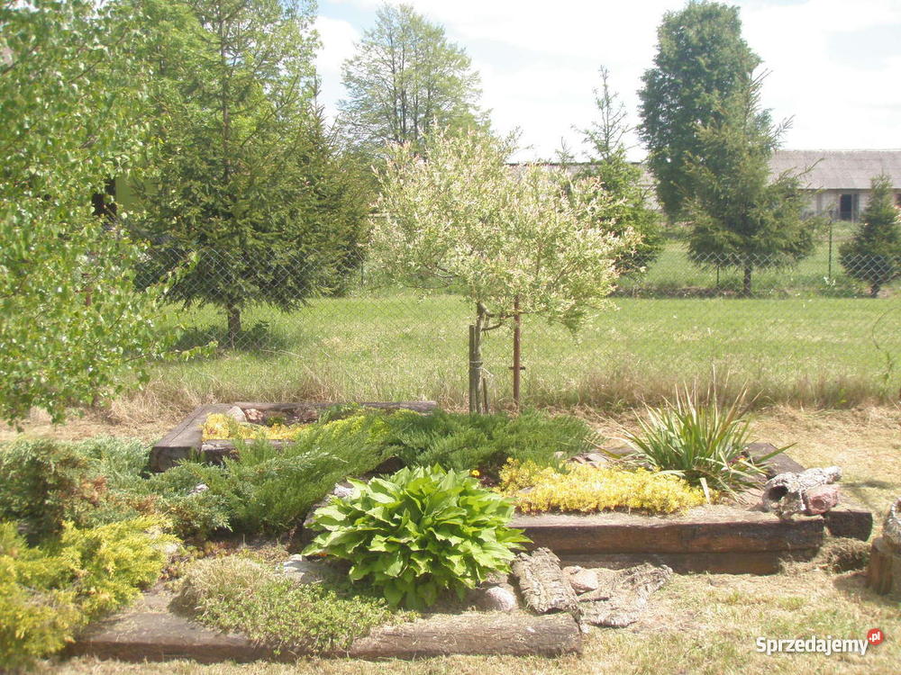 Siedlisko rzeką Narew Grunty i działki Grunty i działki Góra