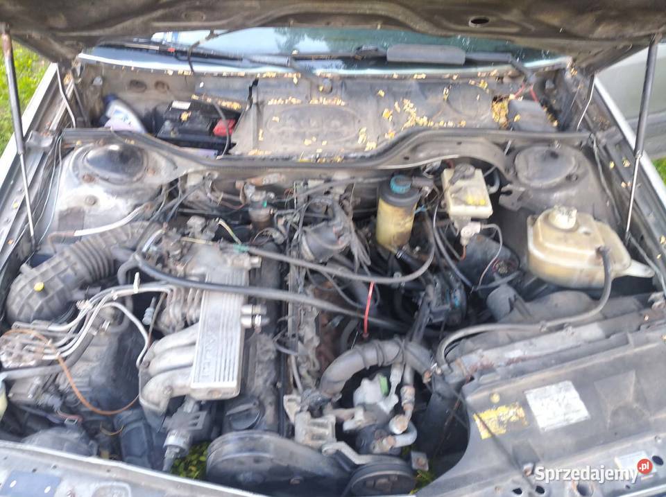 Audi 100 C3 Cygaro 23 LPG 87 nieuszkodzony Szczecin