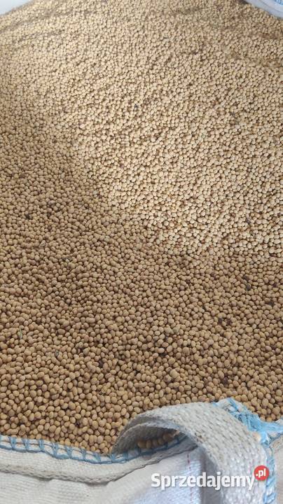 Soja Abaca Namysłów