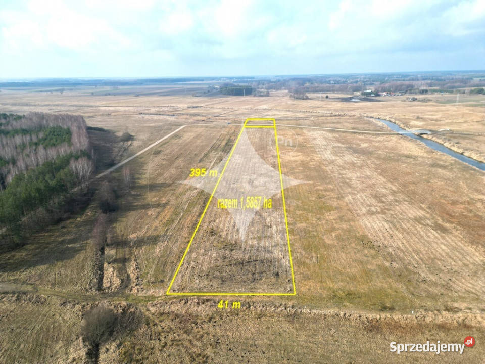 Łąka Horbów Kolonia gm Zalesie pow bialski 41m Horbów-Kolonia