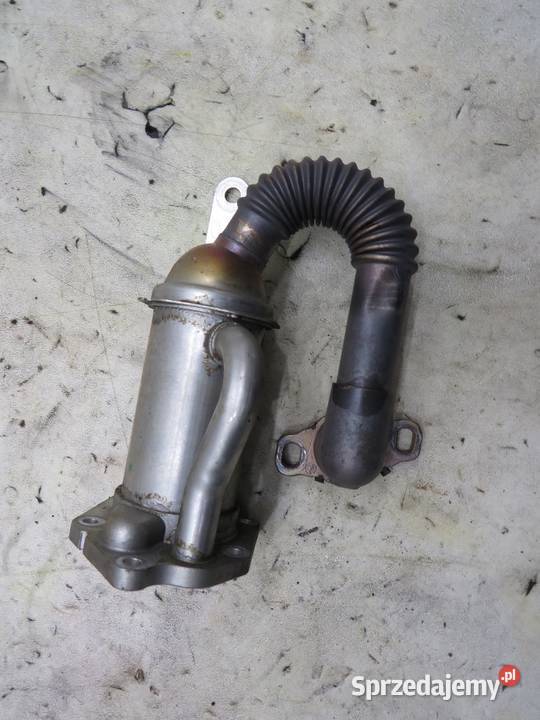 CHŁODNICZKA SPALIN EGR QASHQAI J10 15 DCI
