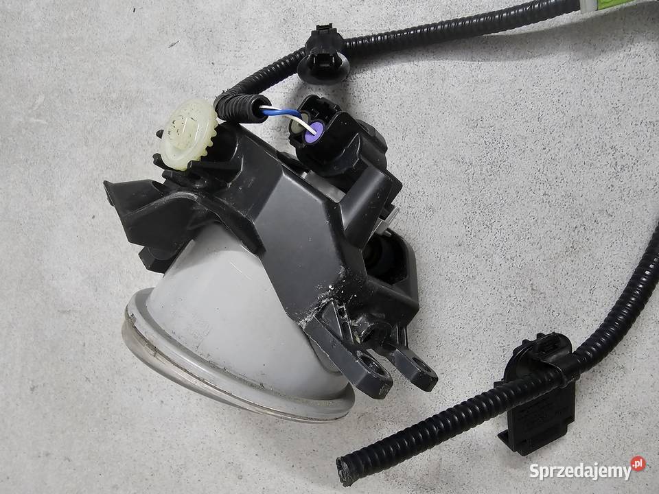 Halogen prawy przód Toyota RAV4 V mazowieckie Warszawa