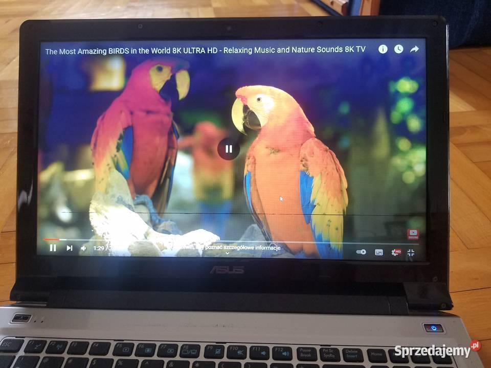 LAPTOP ASUS 50V Rymanów