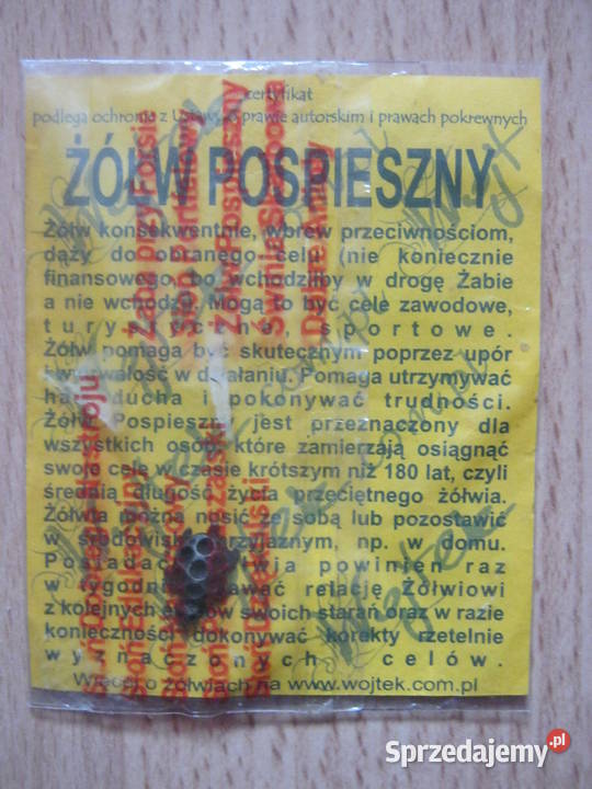 Żółwik forsie Pozostałe zachodniopomorskie Szczecin