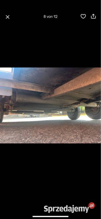 Przyczepa do przewozu zwierząt DMC 2000 Skarżysko-Kamienna