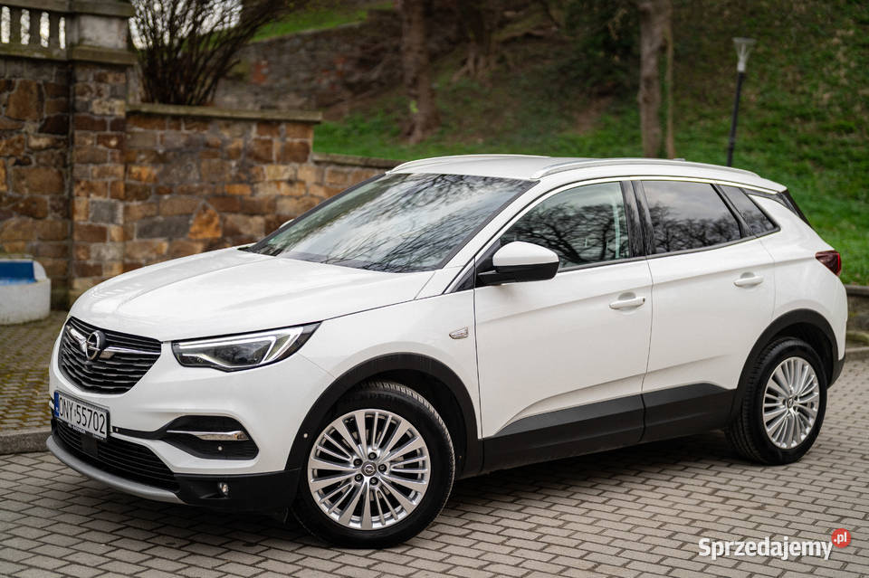 Opel GrandlandX 20 CDTI 177 Full Led Navi Kamera Otmuchów