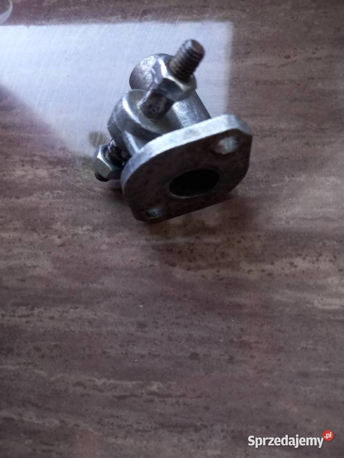 Kruciec zak rys części mazowieckie