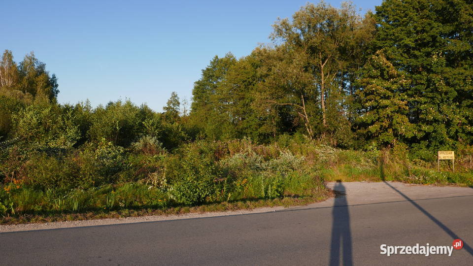 Działka budowlana w Młodocinie Większym koło mazowieckie Radom