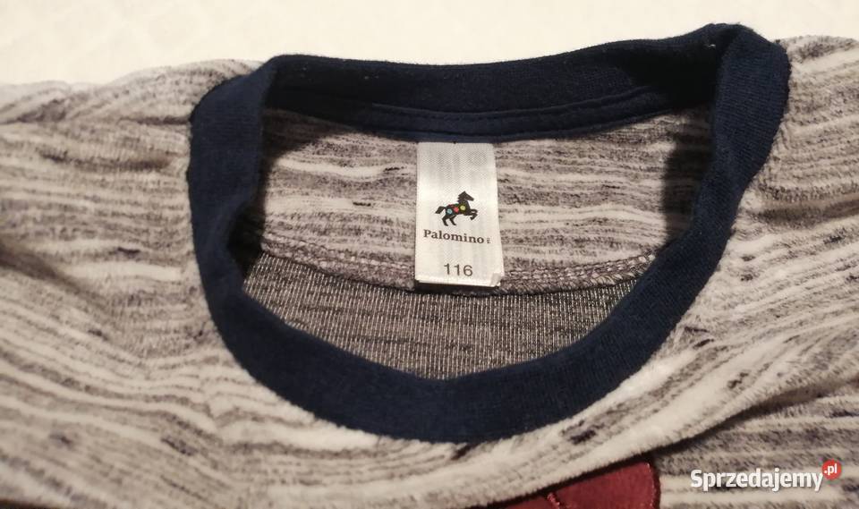 Bluza chłopięca polar długi rękaw CA 116 szara Czeladź