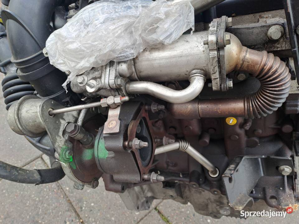 Dacia Dokker Sandero Renault Kangoo 15 DCi Silniki kompletne Jastrzębie-Zdrój