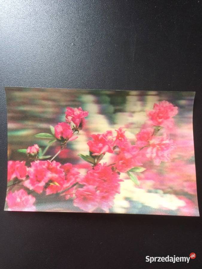 277 Pocztówki Trójwymiarowe 2 Szczecin