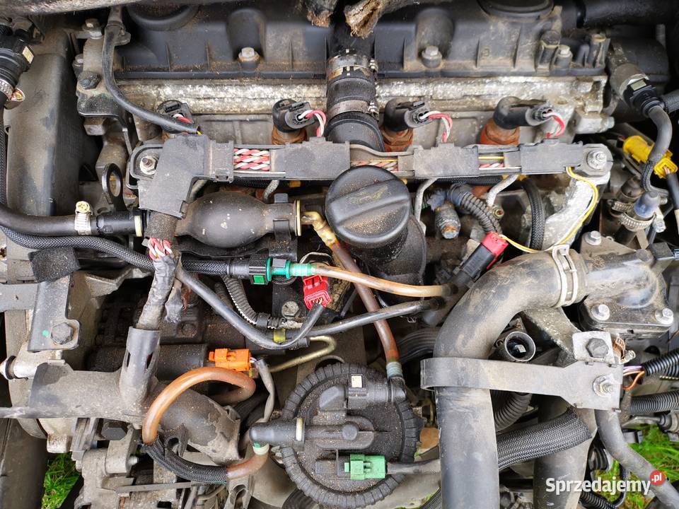 Silnik 20 HDI RHY 10DYSA Citroen Peugeot Strzelce Krajeńskie