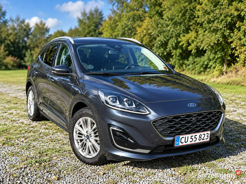 Ford Kuga III 2019 Sadlno