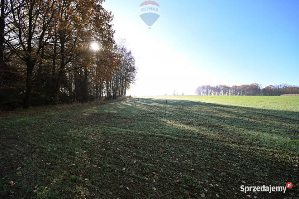 Działka rolna Witkowice asfalt sprzedam