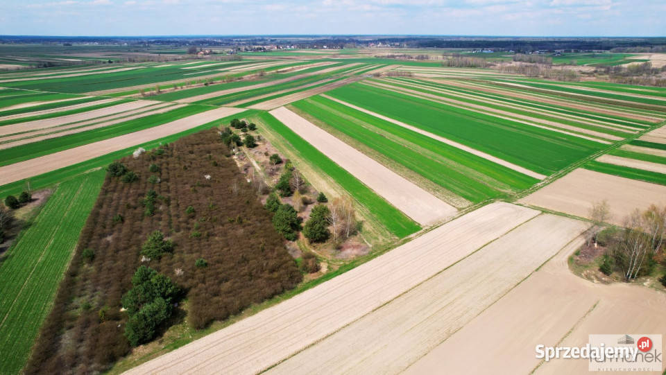 sprzedaży działki Lipiny Dolne 11318m2 Sprzedaż