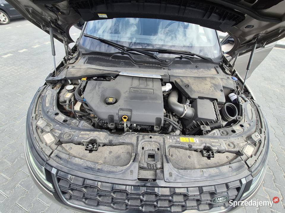 Syndyk sprzeda Range Rover Evoque 20 Si4 MR19 Warszawa