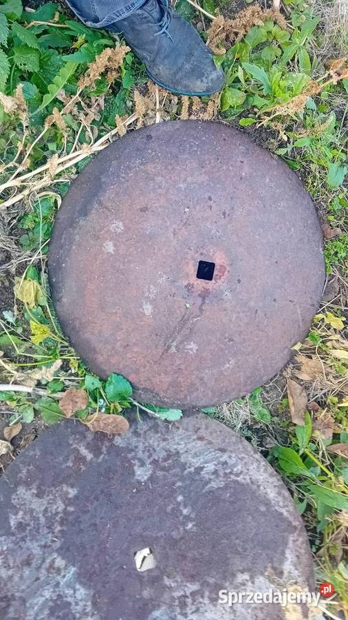 Talerze do talerzówki rosyjskie 55 ostr i twarde Dryszczów sprzedam