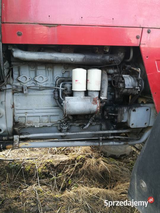 Sprzedam ciągnik mf wielkopolskie