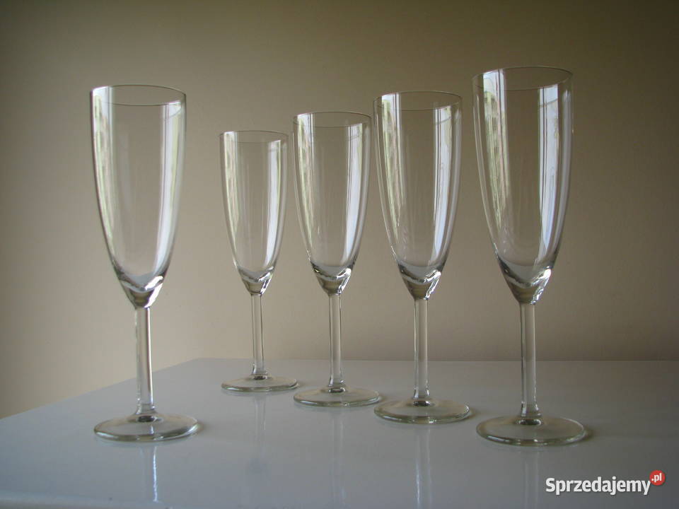 Krystaliczne lampki kieliszki na wino Brzegi
