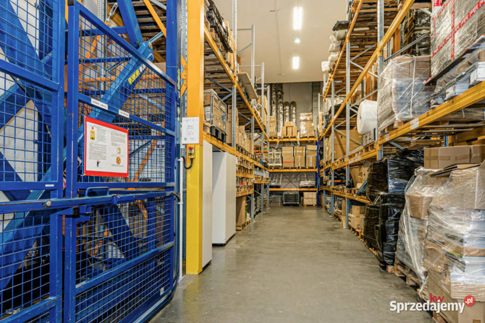 Lokal Poznań Polska 60m2 60m2