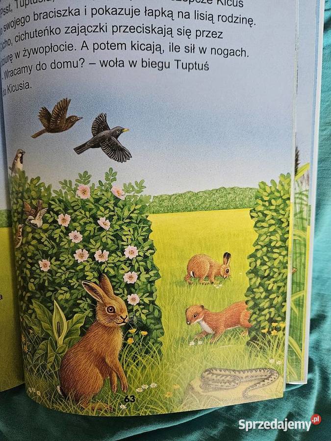 Książka Najpiekniejsz opowieści o zwierzętach