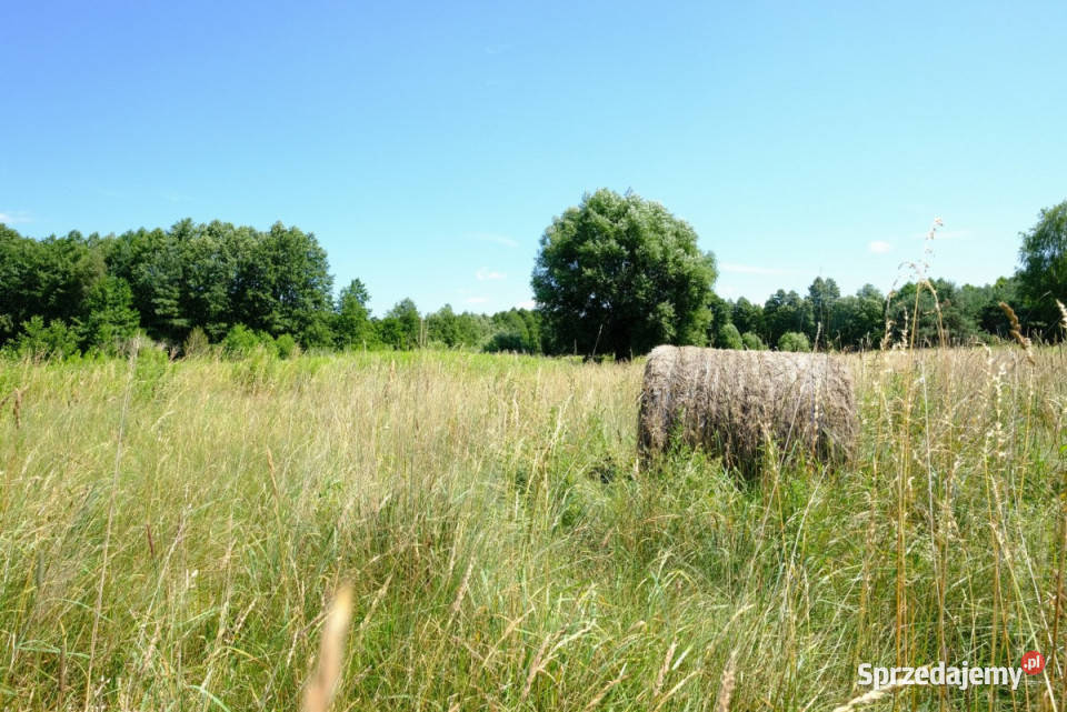 Działkę sprzedam 11700m2 Kampinos 55m Sprzedaż sprzedam