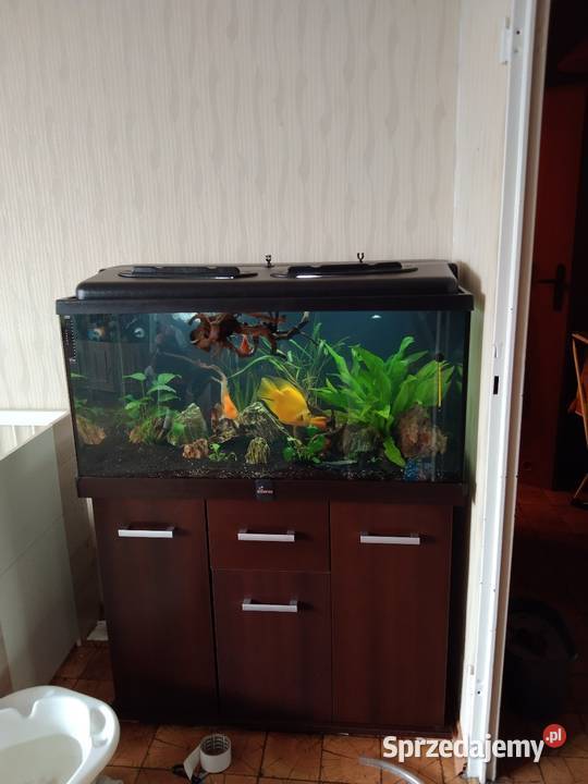 Akwarium 250l z całym osprzętem Brzeszcze sprzedam