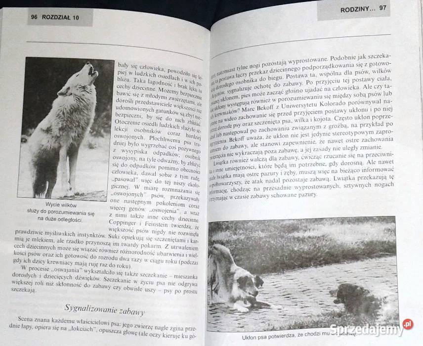 Mowa zwierząt Stephen Hart lubelskie Chełm