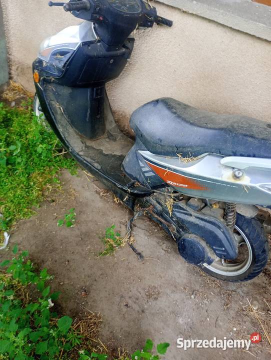 Skuter rex 125 Pozostałe kujawsko-pomorskie Pamiętowo