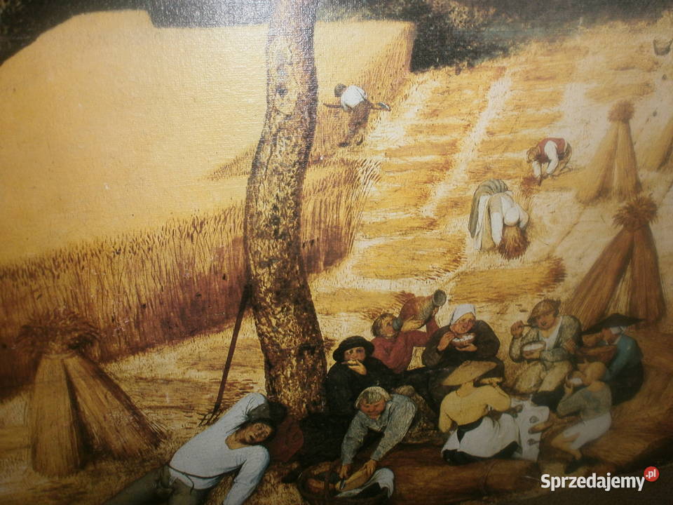 ZNIWIARZE THE HARVESTERS OBRAZ NA PŁYCIE PIETER Zielona Góra