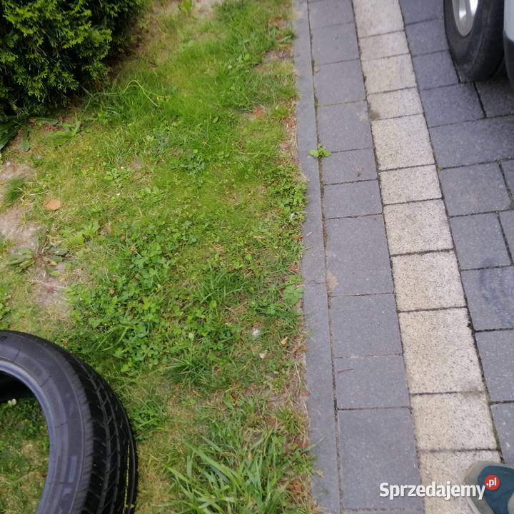 Opona Całoroczna Acoblue Superia 4S 2054516 Kielce
