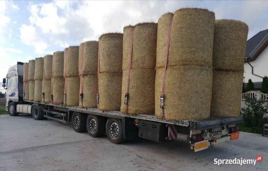 Sprzedam Bele 130 160 Zapewniam transport mazowieckie Przasnysz